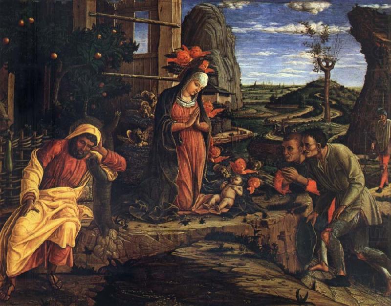 Andrea Mantegna Adoration of the Shepherds china oil painting image